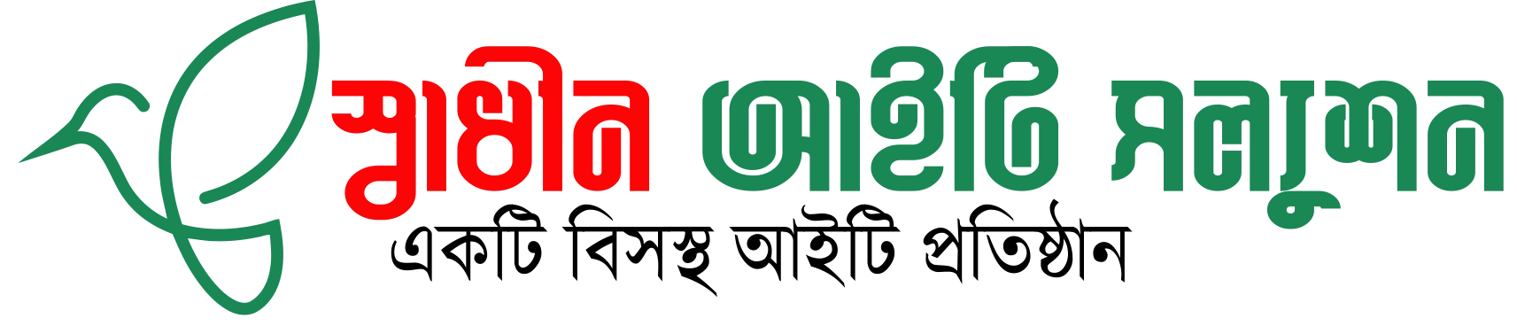 স্বাধীন আইটি সল্যুশন